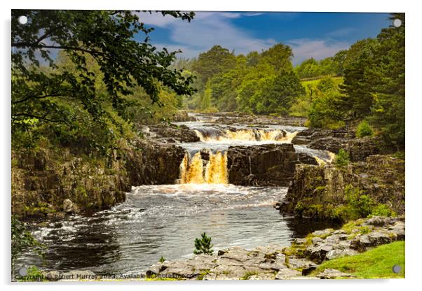 Low Force Waterfall, Teesdale. Acrylic by Robert Murray