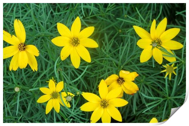 Yellow flowers Print by Stephanie Moore