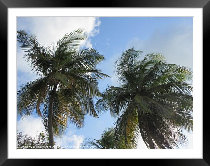 Palm trees of Tobago Framed Mounted Print by kelly Draper