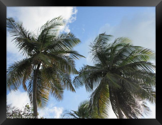 Palm trees of Tobago Framed Print by kelly Draper