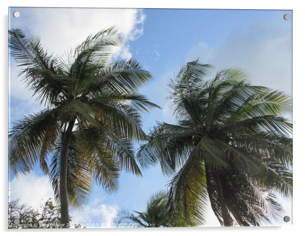 Palm trees of Tobago Acrylic by kelly Draper