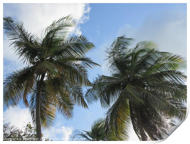 Palm trees of Tobago Print by kelly Draper
