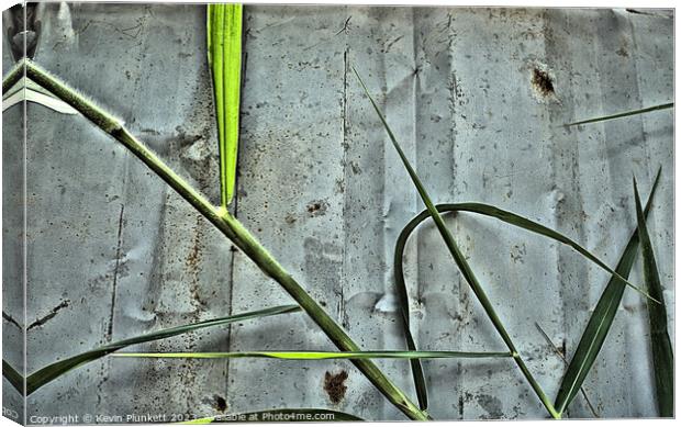 Rusty fence with bamboo Canvas Print by Kevin Plunkett