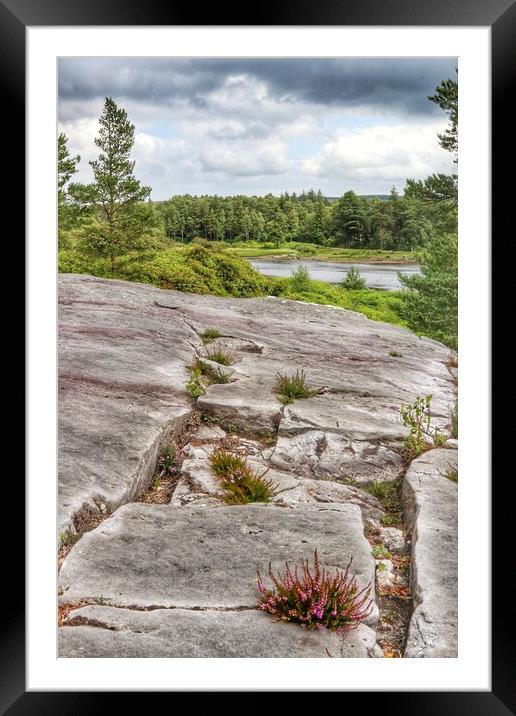 Walking at Cragside in Northumberland  Framed Mounted Print by Tony lopez