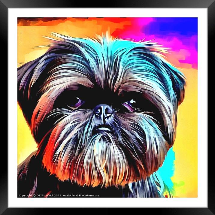 Affenpinscher 2 Framed Mounted Print by OTIS PORRITT