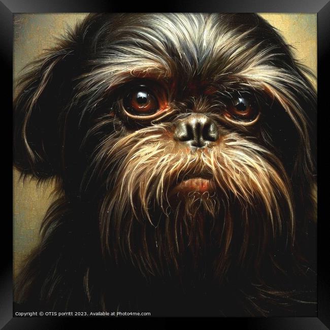 Affenpinscher 5 Framed Print by OTIS PORRITT