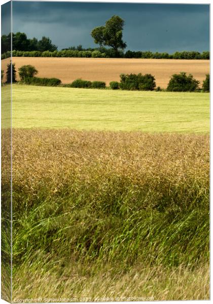 tree and fields Canvas Print by Simon Johnson