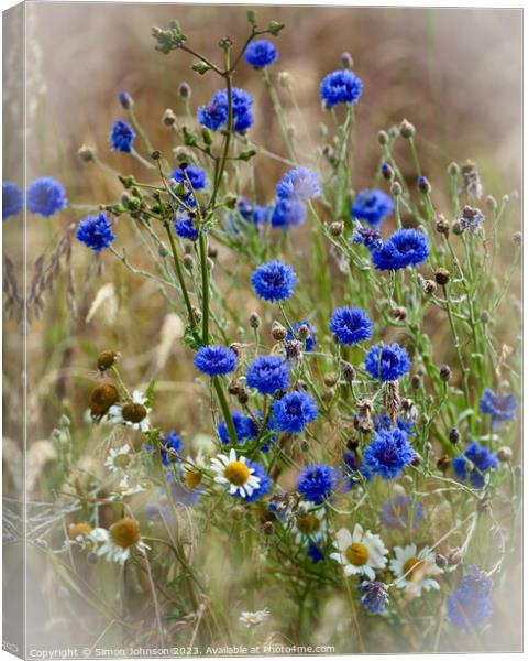 Corn flowers in the wind Canvas Print by Simon Johnson