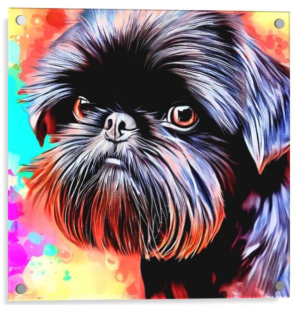 Affenpinscher 11 Acrylic by OTIS PORRITT