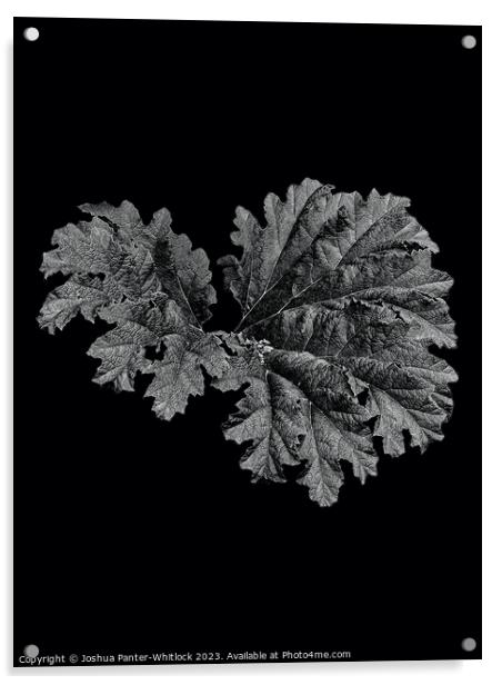 leaf Acrylic by Joshua Panter-Whitlock