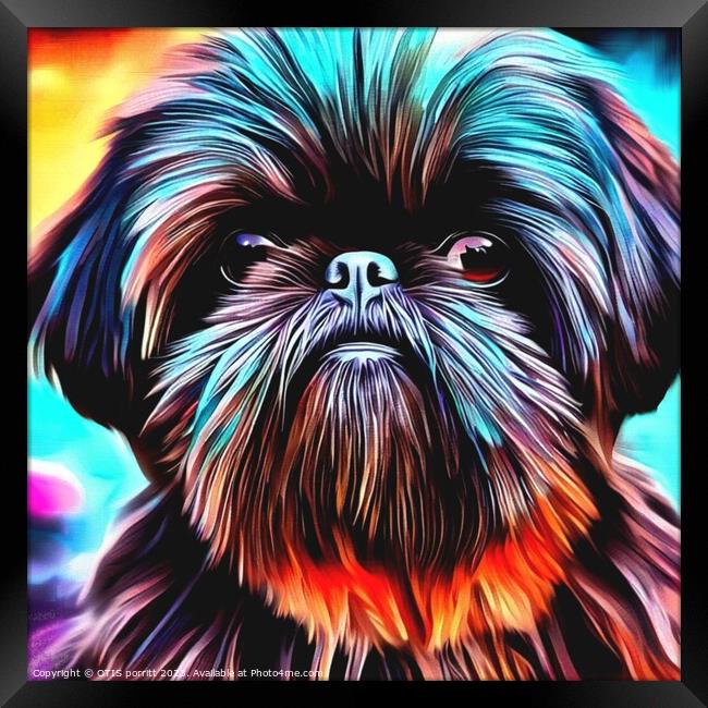 Affenpinscher Framed Print by OTIS PORRITT