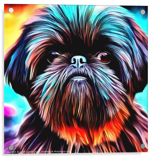 Affenpinscher Acrylic by OTIS PORRITT