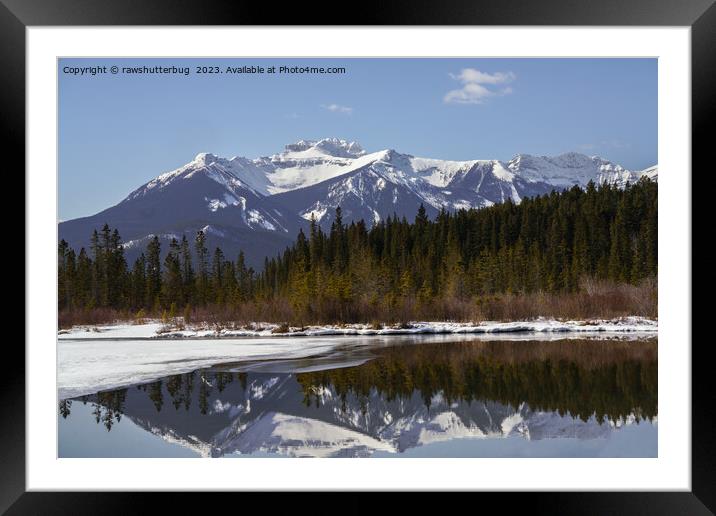 Tranquil Reflections at Vermilion Lakes, Alberta Framed Mounted Print by rawshutterbug 