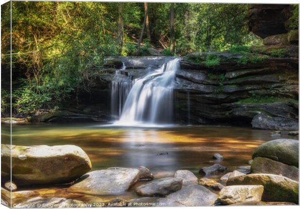 Carrick Creek Falls Canvas Print by DiFigiano Photography