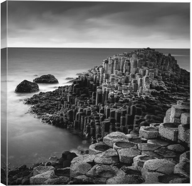 The Giant's Causeway Canvas Print by Dave Bowman