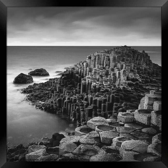 The Giant's Causeway Framed Print by Dave Bowman