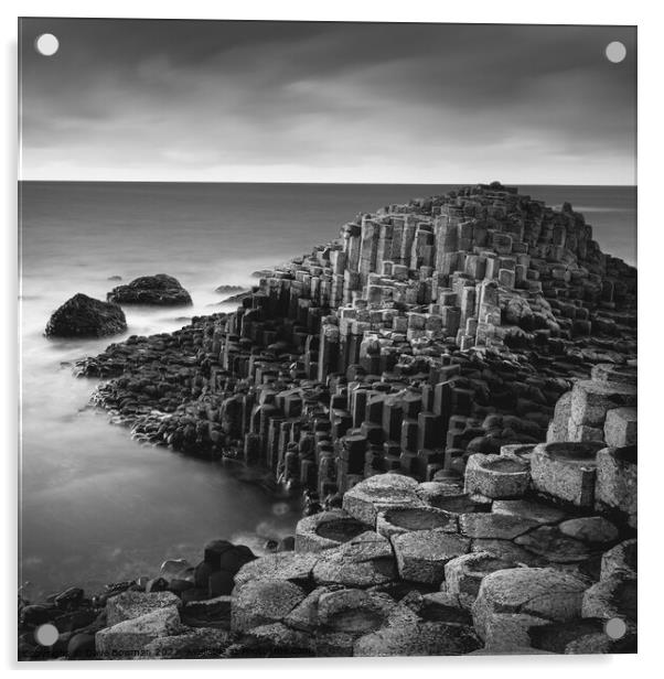 The Giant's Causeway Acrylic by Dave Bowman