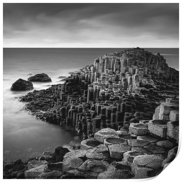 The Giant's Causeway Print by Dave Bowman