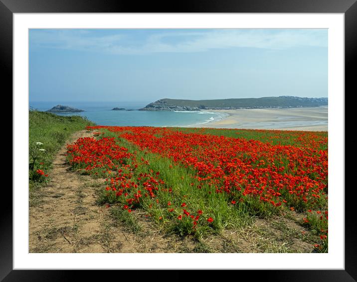Cornish Poppy field  Framed Mounted Print by Tony Twyman