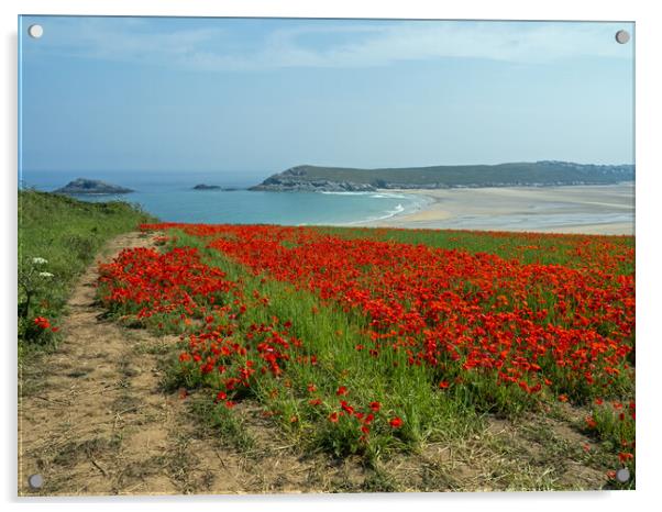 Cornish Poppy field  Acrylic by Tony Twyman