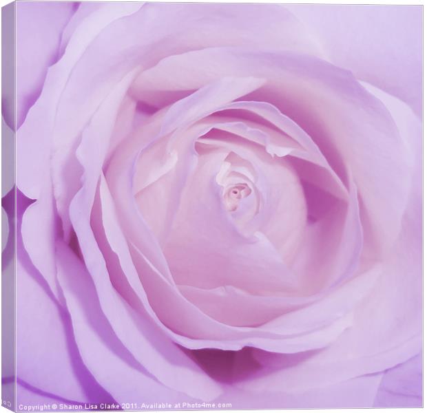 Sweet Lilac Canvas Print by Sharon Lisa Clarke