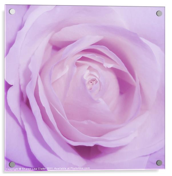 Sweet Lilac Acrylic by Sharon Lisa Clarke