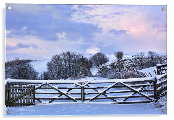 Snow Gates Acrylic by Lynne Morris (Lswpp)