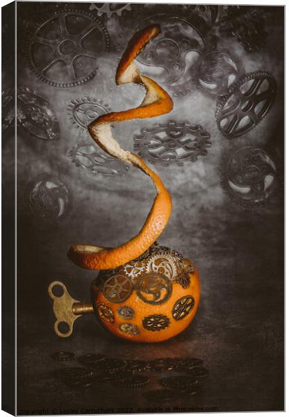 Clockwork Orange Canvas Print by Lesley Carruthers