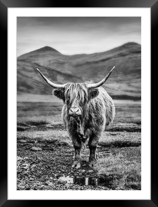 Black and White Highland Cow on Mull, Scotland Framed Mounted Print by Lesley Carruthers