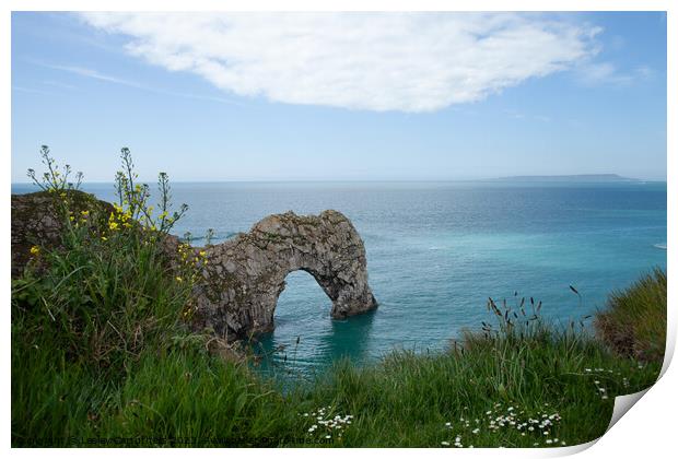 Durdle Door, Dorset Print by Lesley Carruthers