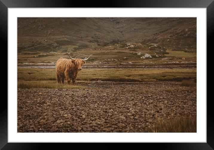 Highland Cow in Glen Framed Mounted Print by Lesley Carruthers