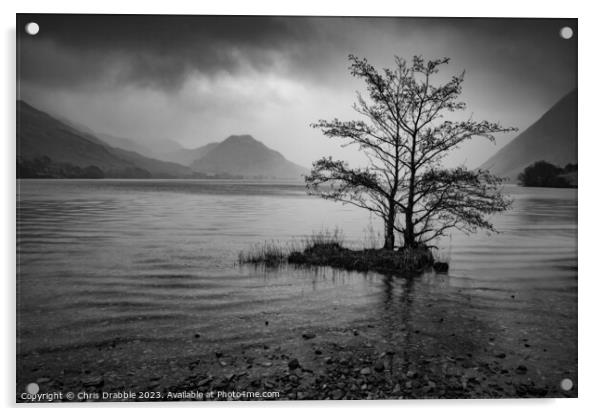 Crummock Water in monochrome Acrylic by Chris Drabble