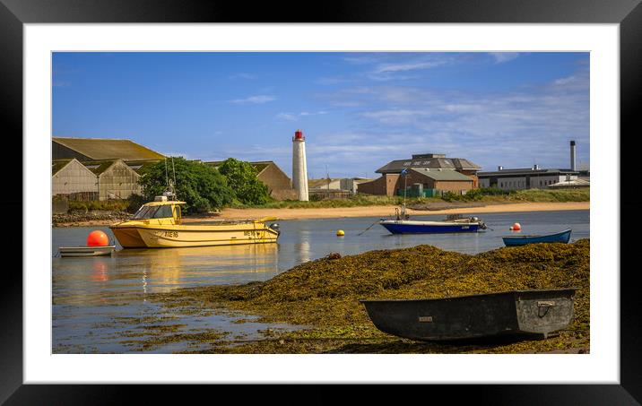 Small Boats in Montrose Harbour Framed Mounted Print by DAVID FRANCIS
