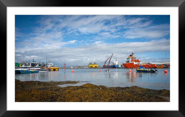 Montrose Harbour Panorama Framed Mounted Print by DAVID FRANCIS