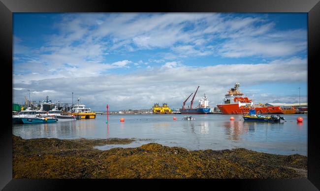 Montrose Harbour Panorama Framed Print by DAVID FRANCIS