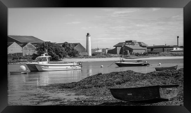 Beacon in Montrose Harbour Scotland Monochrome Framed Print by DAVID FRANCIS