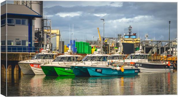 Catamarans in Montrose Harbour Scotland Canvas Print by DAVID FRANCIS