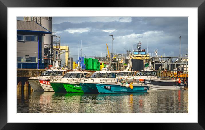 Catamarans in Montrose Harbour Scotland Framed Mounted Print by DAVID FRANCIS