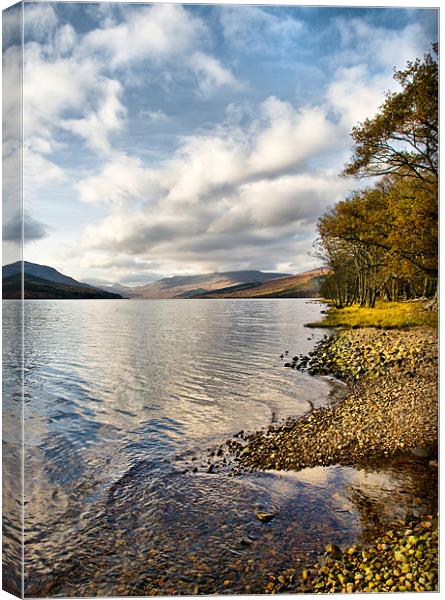 By Loch Arkaig Canvas Print by Jacqi Elmslie