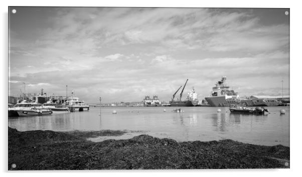 Montrose Harbour Panorama Monochrome Acrylic by DAVID FRANCIS