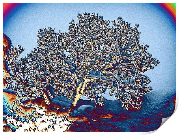 Tree in a Snowball Print by Laura Jarvis