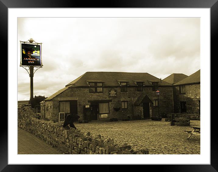 Jamaica Inn sepia with accent Framed Mounted Print by Terri Waters