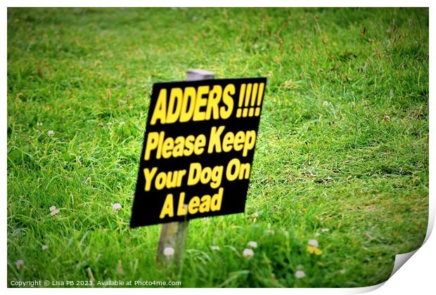 Warning For Adders Print by Lisa PB