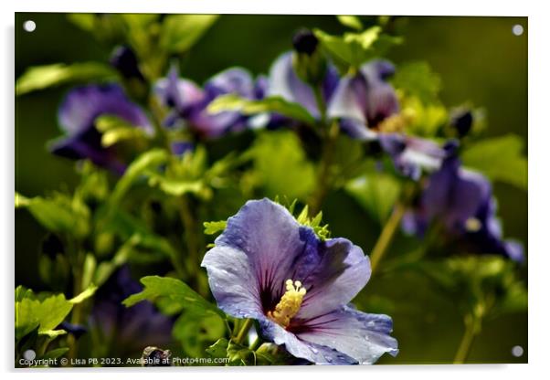 Purple Flower Acrylic by Lisa PB