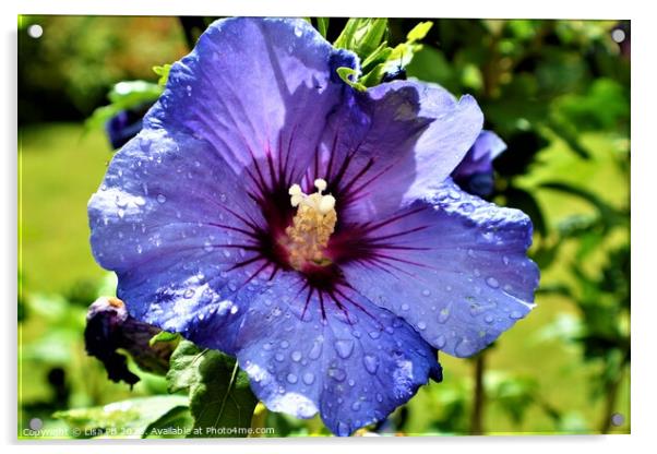 Large Purple Flower Acrylic by Lisa PB