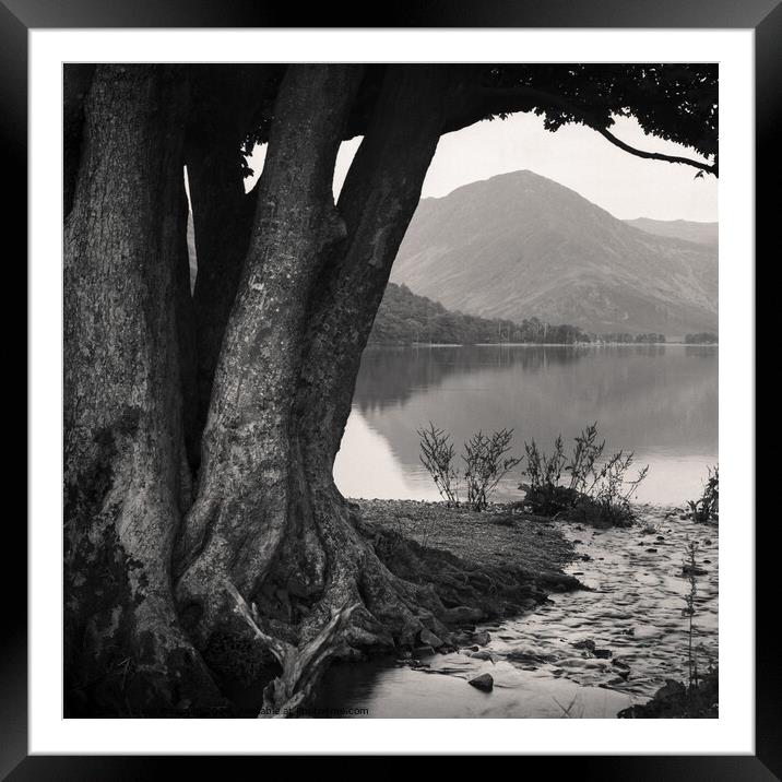  Rivulet to Buttermere Framed Mounted Print by Dave Bowman
