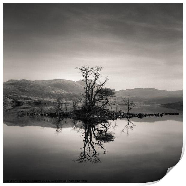 Loch Assynt Reflection Print by Dave Bowman