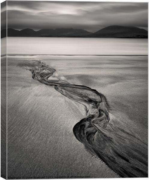 Luskentyre Sand Tracks Canvas Print by Dave Bowman