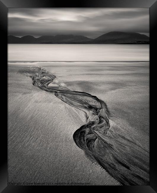 Luskentyre Sand Tracks Framed Print by Dave Bowman