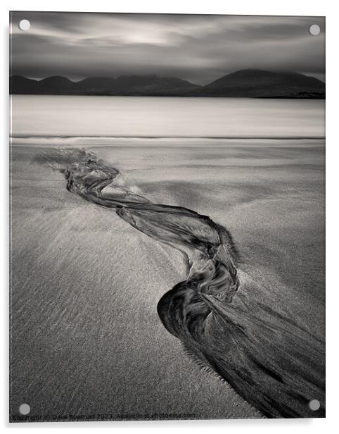 Luskentyre Sand Tracks Acrylic by Dave Bowman